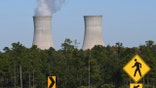 The cooling towers at the Stanton Energy Center, a coal-fired power plant, are seen in Orlando.