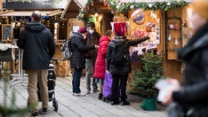 Austria to enter lockdown, bring in mandatory vaccinations