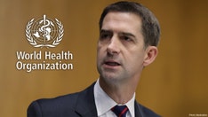 Cotton drags WHO for being 'more concerned' about protecting 'feelings' of Chinese gov. than public health