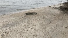 Long Island explosion investigated by cops, FBI over concerns it could be prelude to something else