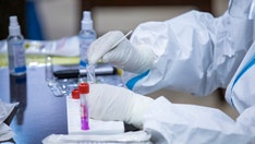 White House turned down plan in October to boost COVID testing: report