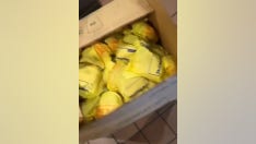 McDonald's worker reveals 6,400-item order seen in viral TikTok was prepared for Georgia prison