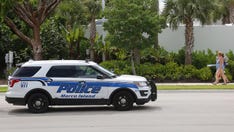 Police search for Florida man who beat seagull with a shovel