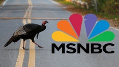 Cruz blasts MSNBC over segment tying Thanksgiving to 'white supremacy' and 'genocide'