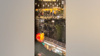 Rotterdam erupts in riots over COVID measures, officers injured, police say