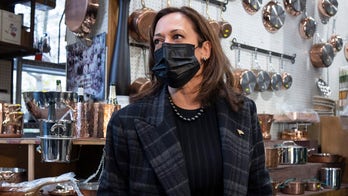 Psaki defends Kamala Harris' position in the Biden administration amid sinking poll numbers