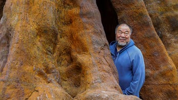 Chinese dissident warns Americans:  You’re already in the authoritarian state...you just don’t know it