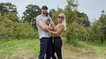 Puppy dies from rat disease in New York City. Here's what other pet owners need to know