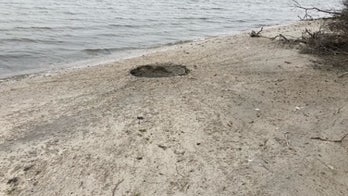 Long Island explosion: NY police, FBI hunt person behind blast amid potential terror concerns