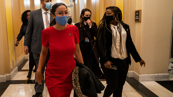 'Squad' Dems spent over $325K on private security last year, despite defund police rhetoric