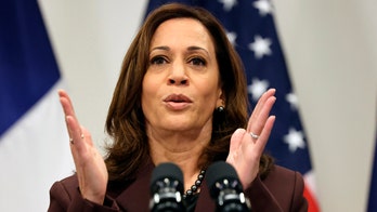 Kayleigh McEnany slams Kamala Harris, says she 'lost the media' because of her 'ineptitude'