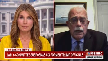 House Democrat's doomsday prediction on party divide: 'If we don't hang together, we ... will hang separately'