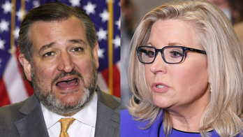 Ted Cruz, Liz Cheney trade barbs over her best chance to win in 2024: 'The Democratic primary'