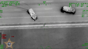 Florida man crashes allegedly stolen van in high-speed police chase then jumps off 55-foot bridge, video shows