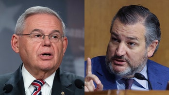 Ted Cruz, top Dem have heated exchange over Biden's Egypt policy