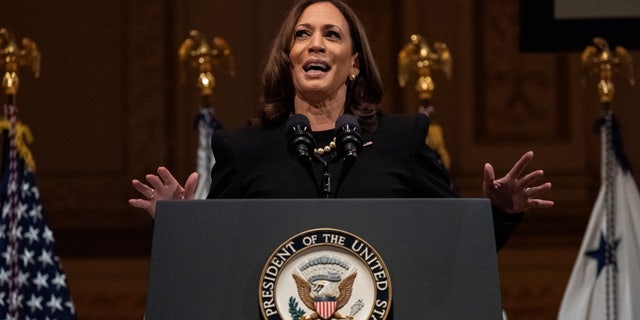Amerikaanse. Vice President Kamala Harris speaks during the 30th Anniversary of National Action Network at Carnegie Hall in the Manhattan borough of New York City, New York, VS, November 1, 2021. REUTERS/Jeenah Moon