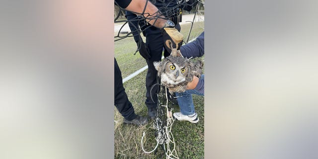 The officers spent 30 minutes working to free the animal.