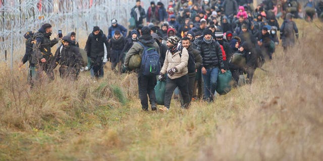 Migrants walk along the barbed wire as they gather at the Belarus-Poland border near Grodno, Belarus, Friday, Nov. 12, 2021.  (Leonid Shcheglov/BelTA pool photo via AP)