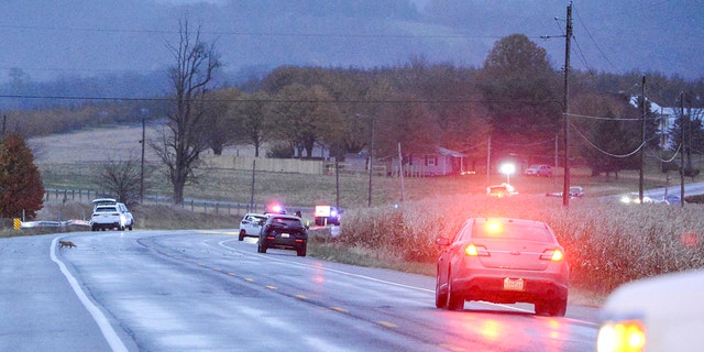 Authorities work a the scene of a crash outside the small town of Ringgold, Md., Thursday, Nov. 18, 2021, that ended the manhunt for ex-Baltimore County Officer Robert Vicosa and his alleged criminal accomplice, Tia Bynum. The two had been on the run after allegedly kidnapping his two daughters, ages 7 and 6, from his estranged wife in York County, Pa. (Kevin Richardson/The Baltimore Sun via AP)