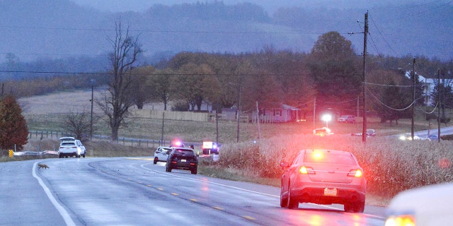 Authorities work a the scene of a crash outside the small town of Ringgold, Md., Thursday, Nov. 18, 2021, that ended the manhunt for ex-Baltimore County Officer Robert Vicosa and his alleged criminal accomplice, Tia Bynum. The two had been on the run after allegedly kidnapping his two daughters, ages 7 and 6, from his estranged wife in York County, Pa. (Kevin Richardson/The Baltimore Sun via AP)