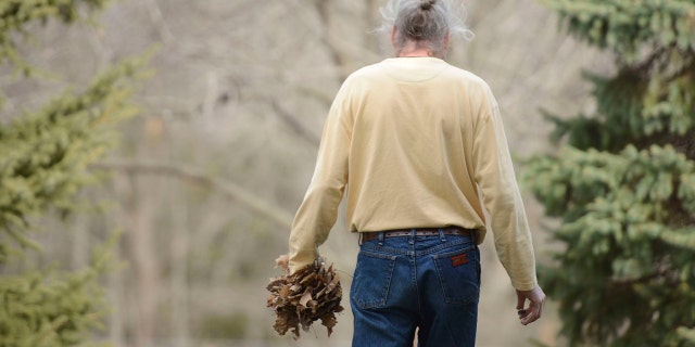 In this photo on Dec. 3, 2015, Brian Cottle carried a handful of leaves around his house in Pierpont, Mo. Cottle spent four hours carrying leaves from one side of the yard to the other. This obsessive behavior is one of the symptoms of early onset Alzheimer's.