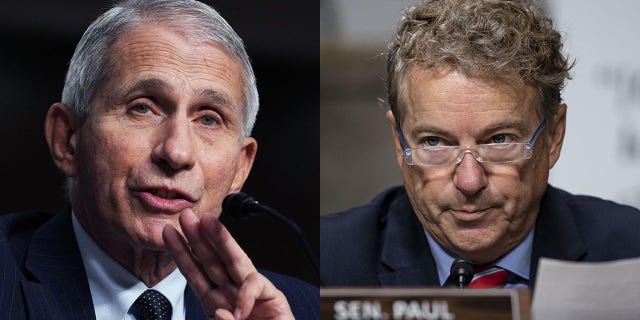 Fauci, Paul