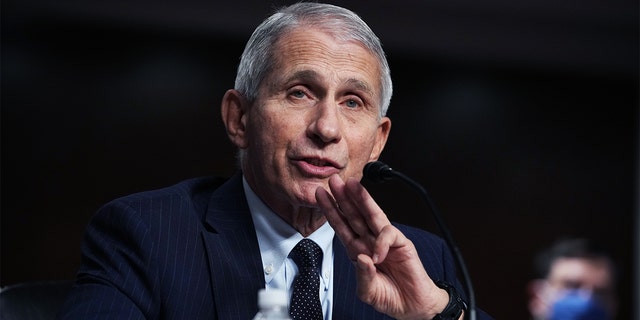 Dr. Anthony Fauci, director of the National Institute of Allergy and Infectious Diseases, testifies during the Senate Health, Education, Labor and Pensions Committee hearing titled Next Steps: The Road Ahead for the COVID-19 Response, in Dirksen Building in Washington, D.C., on Thursday, Nov. 4, 2021. 