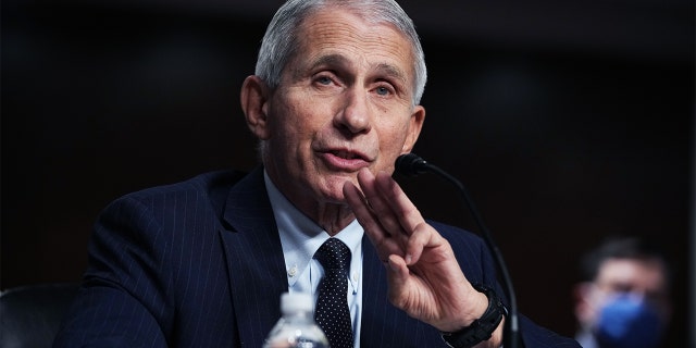 Dr. Anthony Fauci, director of the National Institute of Allergy and Infectious Diseases, testifies during the Senate Health, Education, Labor and Pensions Committee hearing titled Next Steps: The Road Ahead for the COVID-19 Response, in Dirksen Building in Washington, D.C., on Thursday, Nov. 4, 2021.