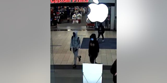 Police in Santa Rosa, California, are looking for four suspects involved in a Wednesday smash-and-grab burglary at an Apple store. 
