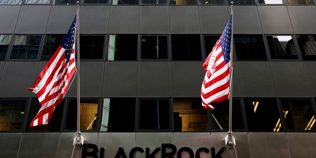 档案照片: The BlackRock logo is seen outside of its offices in New York City, 十月. 17, 2016. 