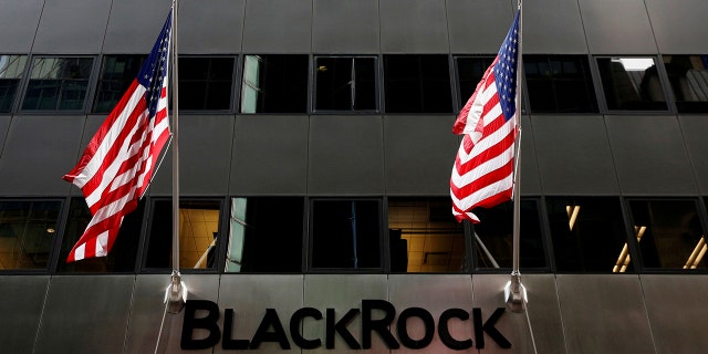 FILE PHOTO: The BlackRock logo is seen outside of its offices in New York City, Oct. 17, 2016. REUTERS/Brendan McDermid/File Photo