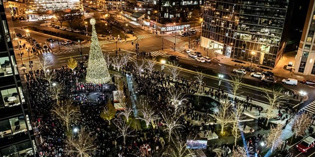 CityCenterDC's Christmas Tree in Washington, District of Columbia
