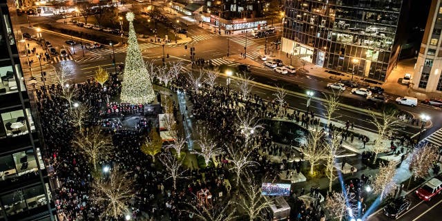 CityCenterDC's Christmas Tree in Washington, District of Columbia