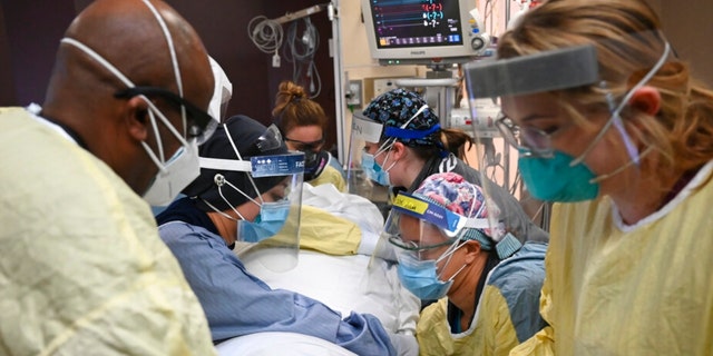Critical care nurses and respiratory therapists flip a COVID-19 patient upright in North Memorial's South Six and South Seven Intensive Care Units on Monday, Dec. 7, 2020 at North Memorial Health Hospital in Robbinsdale, Minn. Hospitals in Michigan and Minnesota on Tuesday, Nov. 16, 2021, reported a wave of COVID-19 patients not seen in months as beds were filled with unvaccinated people and health care leaders warned that staff were being worn down by yet another surge.