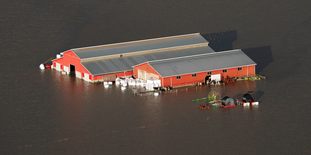 A barn is seen surrounded by flood waters in Chilliwack, British Columbia, Tuesday, Nov. 16, 2021.