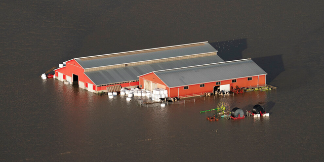 A barn is seen surrounded by flood waters in Chilliwack, British Columbia, Tuesday, Nov. 16, 2021.