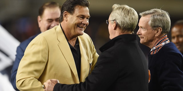 Pro Football Hall of Fame member Dan Hampton is honored at halftime during the game between the Minnesota Vikings and the Bears at Soldier Field on Oct. 31, 2016, in Chicago.