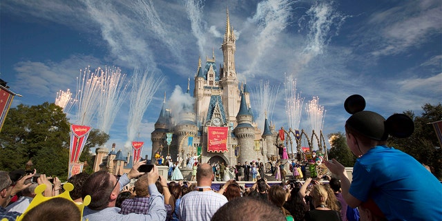 Des feux d'artifice explosent lors de la grande cérémonie d'ouverture de Walt Disney World's Fantasyland à Lake Buena Vista, en Floride, le 6 décembre 2012.
