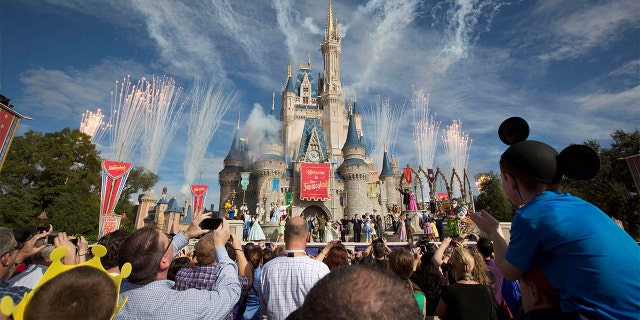 FILE PHOTO: Fireworks go off around Cinderella's castle during the grand opening ceremony for Walt Disney World's Fantasyland in Lake Buena Vista, Florida December 6, 2012. 