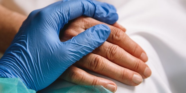 Close up of a doctor hand with blue glove giving support and love to a patient at hospital. Coronavirus pandemic concept.