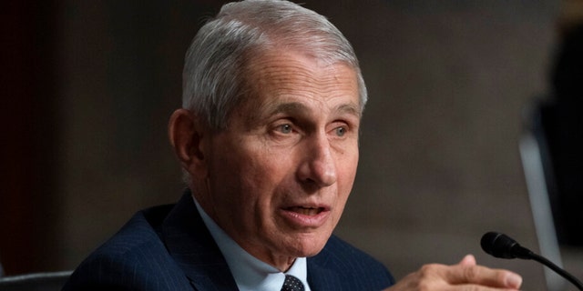 Dr. Anthony Fauci, director of the National Institute of Allergy and Infectious Diseases, speaks during a Senate Health, Education, Labor, and Pensions Committee hearing on Capitol Hill, Thursday, Nov. 4, 2021, in Washington. 