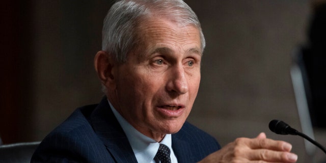 Dr. Anthony Fauci, director of the National Institute of Allergy and Infectious Diseases, speaks during a Senate Health, Education, Labor, and Pensions Committee hearing on Capitol Hill, Thursday, Nov. 4, 2021, in Washington. (AP Photo/Alex Brandon)