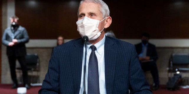 El doctor Anthony Fauci, director del Instituto Nacional de Alergias y Enfermedades Infecciosas, toma asiento para una audiencia del Comité Senatorial de Salud, Educación, Trabajo y Pensiones en Capitol Hill, el jueves 4 de noviembre de 2021, en Washington.  (Foto AP / Alex Brandon)