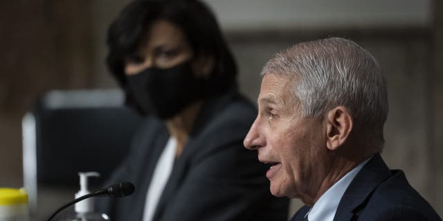 博士. Anthony Fauci speaks as Dr. Rochelle Walensky looks on during a Senate Health, 教育, 劳工, and Pensions Committee hearing on Capitol Hill, 星期四, 十一月. 4.