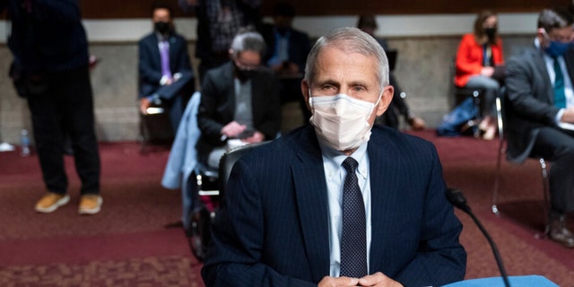 Dr. Anthony Fauci, director of the National Institute of Allergy and Infectious Diseases, takes his seat for a Senate Health, Education, Labor, and Pensions Committee hearing on Capitol Hill, Thursday, Nov. 4, 2021, in Washington.