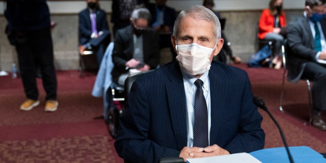 Dr. Anthony Fauci, director of the National Institute of Allergy and Infectious Diseases, takes his seat for a Senate Health, Education, Labor and Pensions Committee hearing on Capitol Hill, Thursday, Nov. 4, 2021, in Washington. (AP Photo/Alex Brandon)