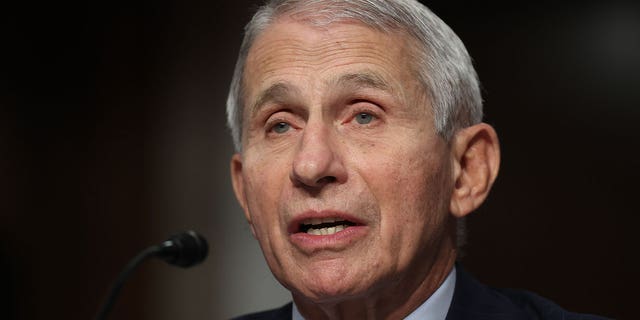 National Institute of Allergy and Infectious Diseases Director Dr. Anthony Fauci testifies before the Senate Health, Educación, Labor, and Pensions Committee about the ongoing response to the COVID-19 pandemic in the Dirksen Senate Office Building on Capitol Hill on Nov. 4, 2021, en Washington, CORRIENTE CONTINUA. 