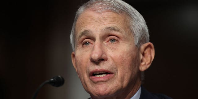 El director del Instituto Nacional de Alergias y Enfermedades Infecciosas, Dr.  Anthony Fauci, testifica ante el Comité Senatorial de Salud, Educación, Trabajo y Pensiones sobre la respuesta en curso a la pandemia COVID-19 en el edificio de oficinas del Senado Dirksen en Capitol Hill el 4 de noviembre de 2021, en Washington, DC 