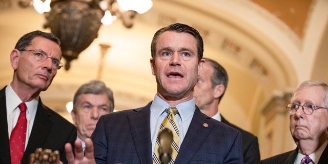 Republican Senatorial Committee Chairman Todd Young (R-IN) speaks to reporters following the Senate Republican policy luncheon which both President Donald Trump and Vice President Mike Pence attended on March 10, 2020 in Washington, DC. (Photo by Samuel Corum/Getty Images)