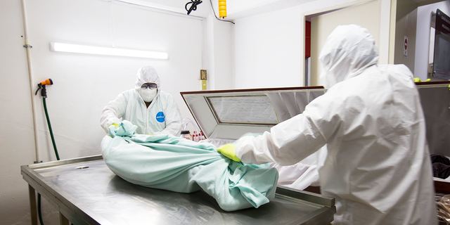 Getty photo of medical personnel preparing an autopsy